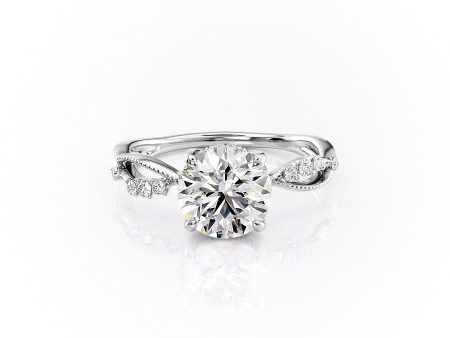 The Daisy Set With A 4.5 Carat Round Moissanite Online Hot Sale