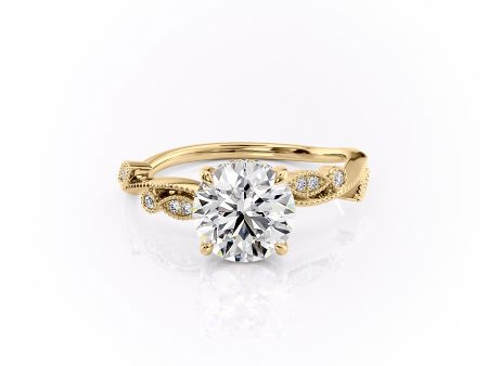 The Robin Set With A 4.5 Carat Round Moissanite Online Hot Sale